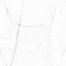 Vivid White Calacatta Pulido (59x59)